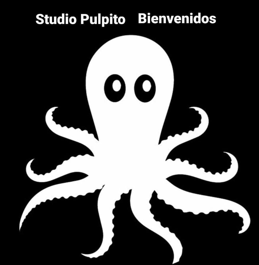 Studio Pulpito In The Charming Heart Of Downtown Pv ปูแอร์โตบาญาร์ตา ภายนอก รูปภาพ